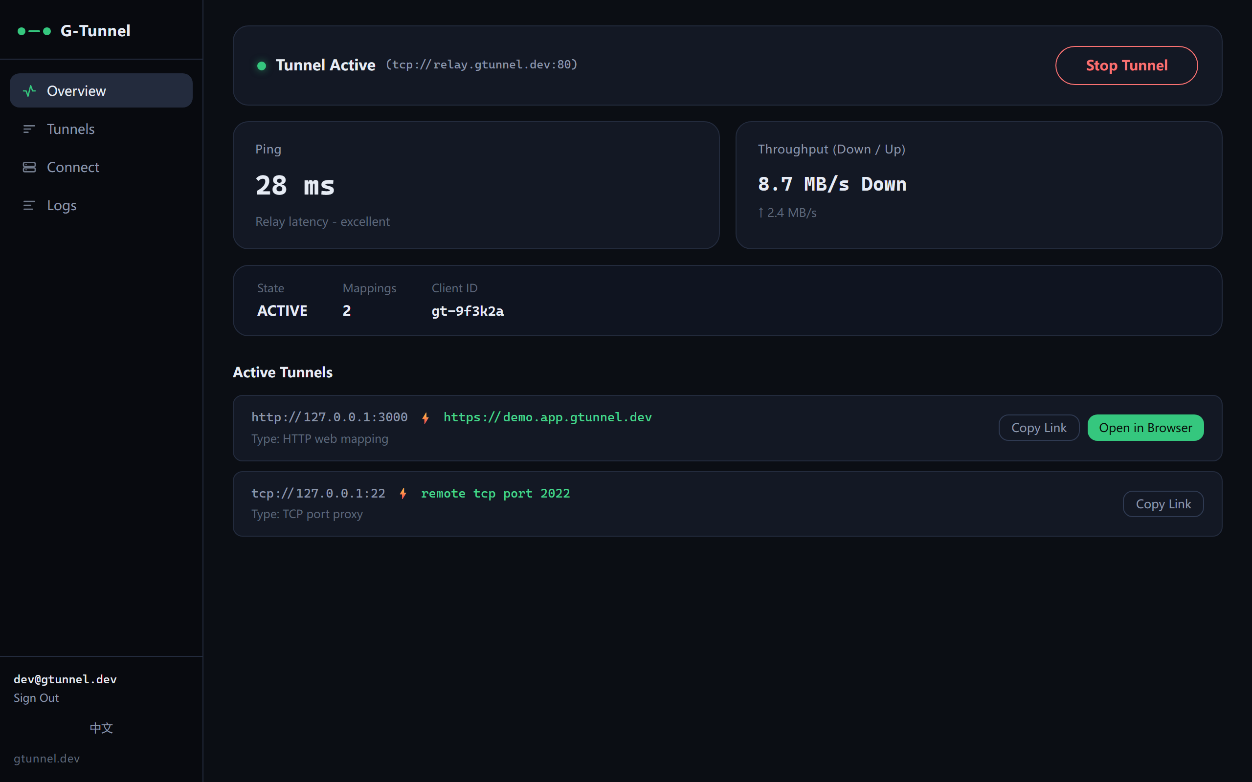 GT-Desktop dashboard: active tunnels with live throughput and latency